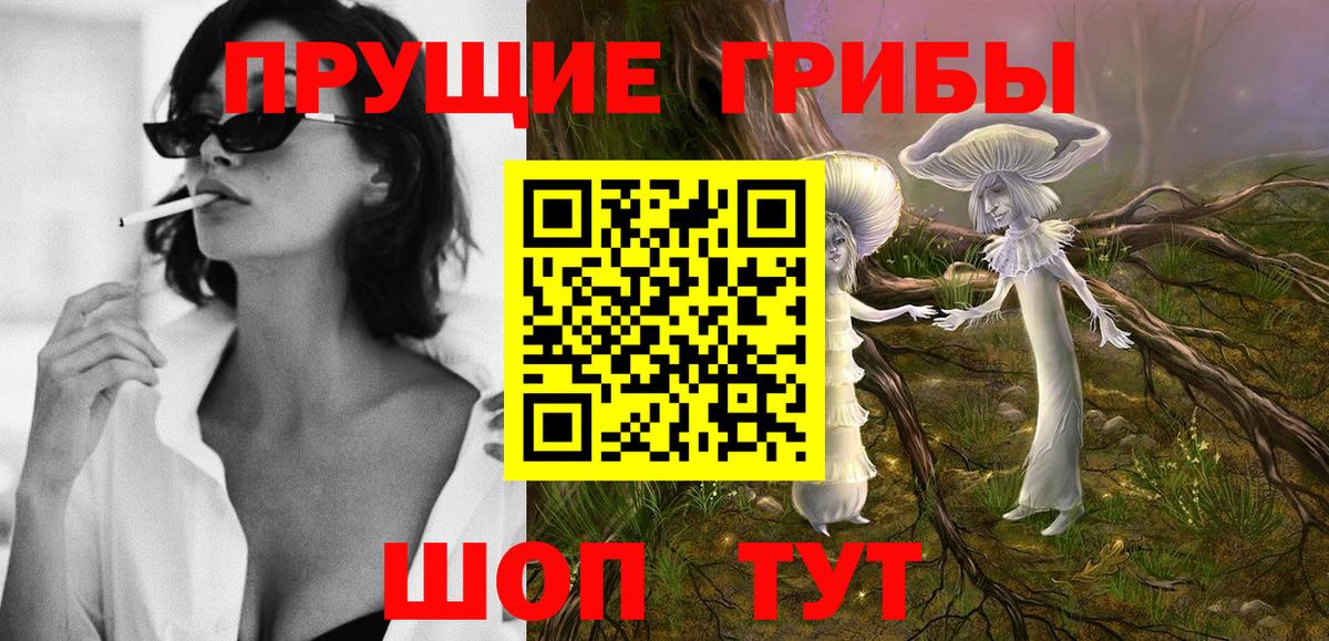 Псилоцибиновые грибы GOLDEN TEACHER Тавда