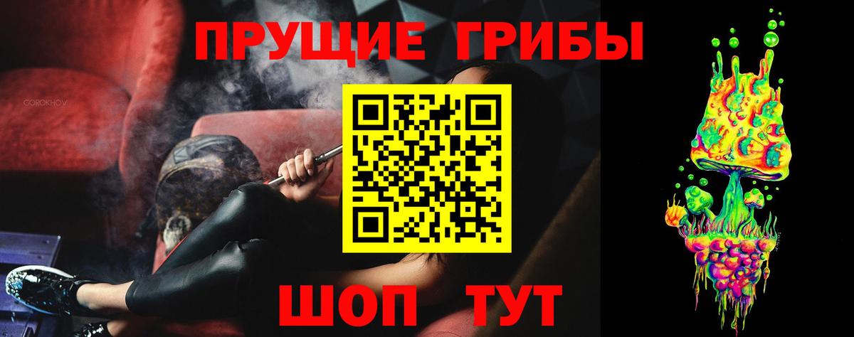 Тавда  Псилоцибиновые грибы мухоморы  Вход с VPN  Псилоцибиновые грибы Magic Shrooms 